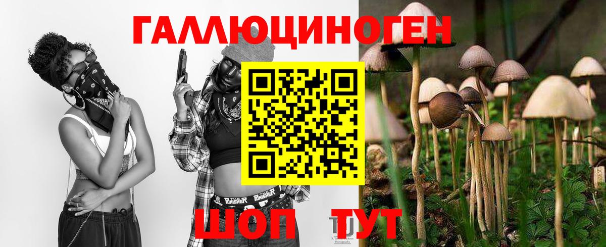 Псилоцибиновые грибы ЛСД Мурино