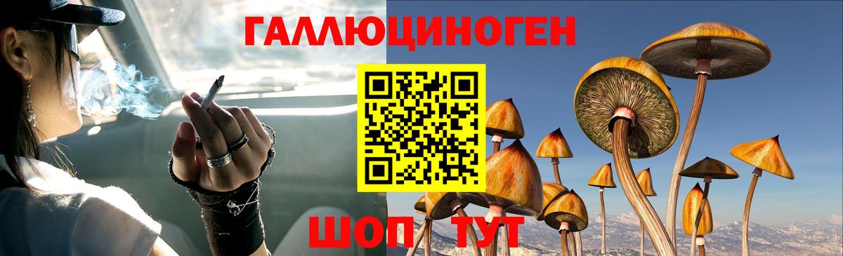 Галлюциногенные грибы GOLDEN TEACHER  Вход с VPN  Галлюциногенные грибы Cubensis  Мурино 